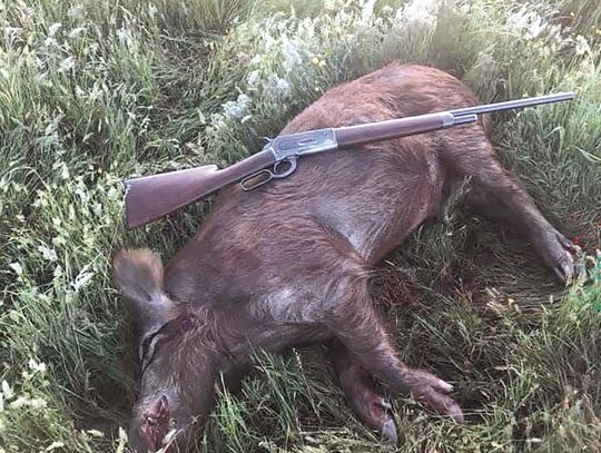 Live to hunt again