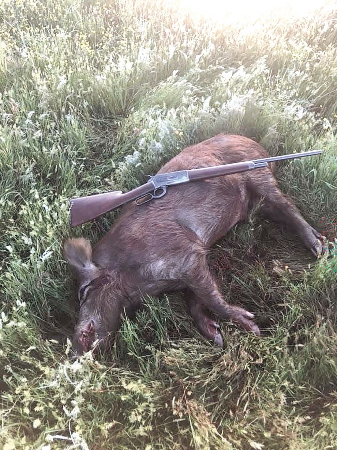 Live to hunt again Live to hunt again